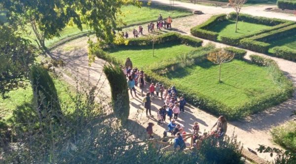 Actividad combinada kayak y visita a los jardines de Aranjuez para escolares 