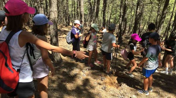 Almería Multiaventura Camp (3)