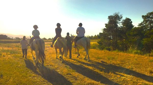 Almería Multiaventura Camp (4)