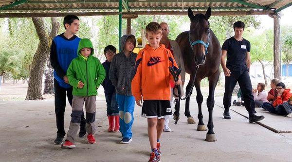 Top selección de campamentos Hípica en Aula Viajera