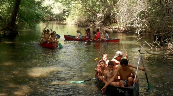 Campus Movistar Estudiantes (4)