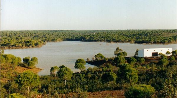 Huelva Explorer Camp (2)