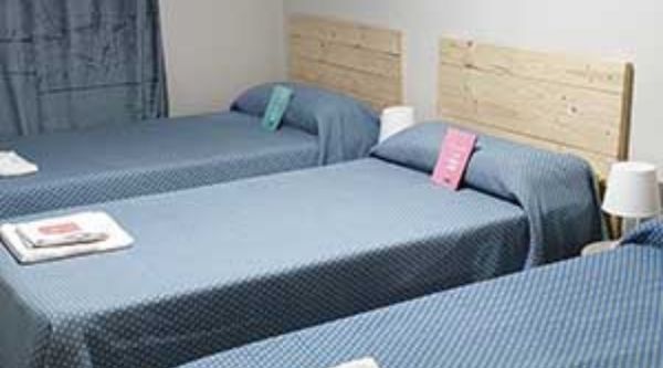 Viaje fin de curso Dehesa de la Alarilla