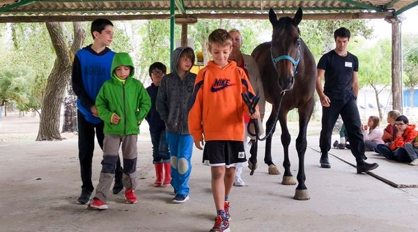 Viaje fin de curso Dehesa de la Alarilla (2)