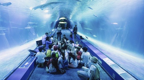 Viaje fin de curso Gandía (5)