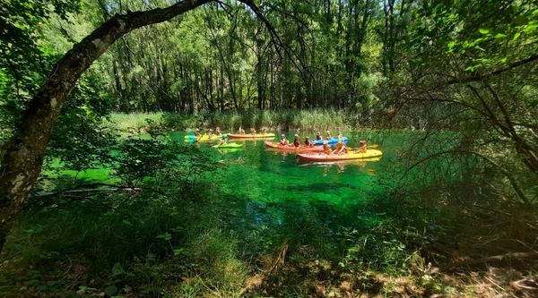 Viaje fin de curso Parque Natural del Alto Tajo 
