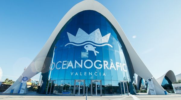 Viaje fin de curso en Oliva (4)