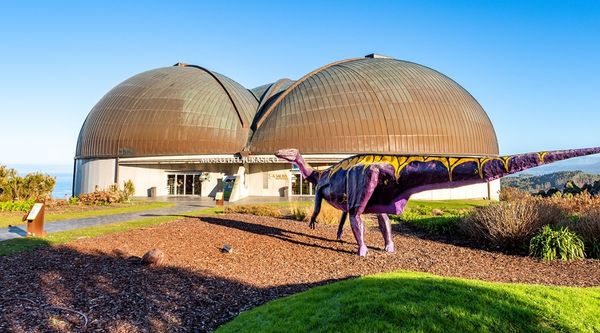 Visita el museo del Jurásico en Asturias para colegios 