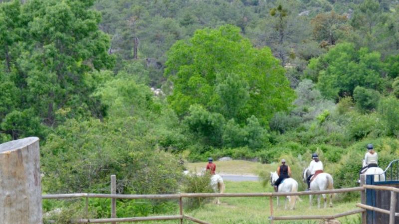 Viaje fin de curso en el Burguillo