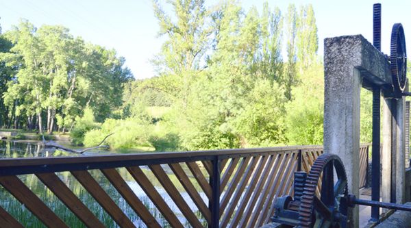 Visita para colegios al Museo del Agua en Soria 