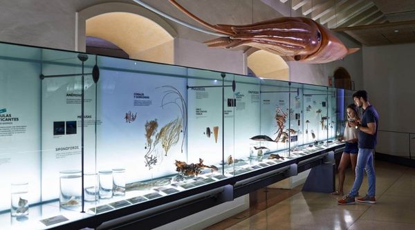 Visita para estudiantes al museo de la naturaleza y la arqueología de Santa Cruz de Tenerife 