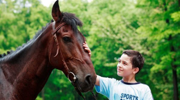 Excursiones para Infantil y Primaria en Tarragona 