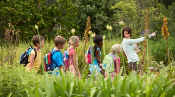 Visitas educativas para centros en Castellón