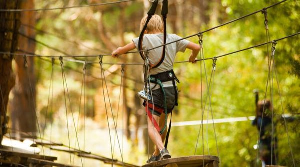 Excursiones escolares en Palencia 