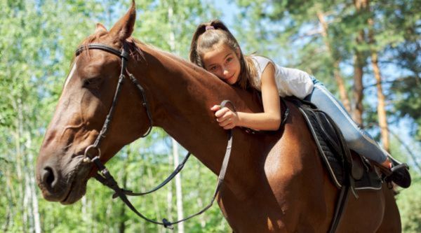 Salidas escolares para Secundaria y ESO en Cáceres