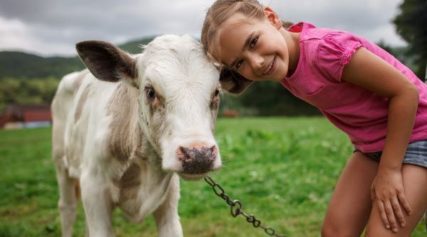 Excursiones para Infantil y Primaria en Granada 