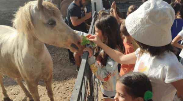 Excursiones para Infantil y Primaria en Tenerife 