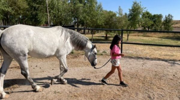 Excursiones para Infantil y Primaria en Teruel 