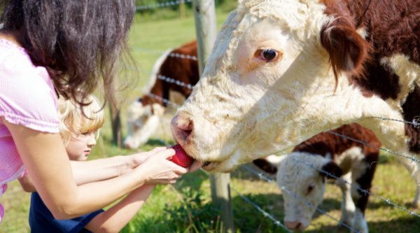Actividades educativas para Bachillerato en Barcelona 
