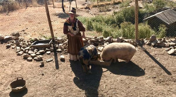 Actividades educativas para Bachillerato en Navarra 