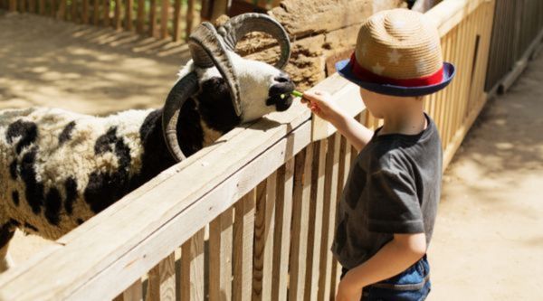 Excursiones para Infantil y Primaria en País Vasco