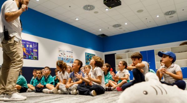 Visitas culturales para colegios en Segovia 