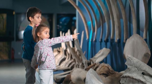 Salidas a museos y exposiciones en Zaragoza 